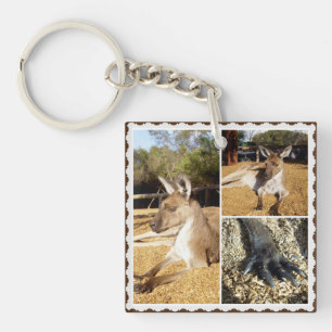 Die Kangaroo Bildkollektion, Keyring Schlüsselanhänger