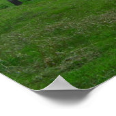 Die Kansas-Landschaft Poster (Ecke)