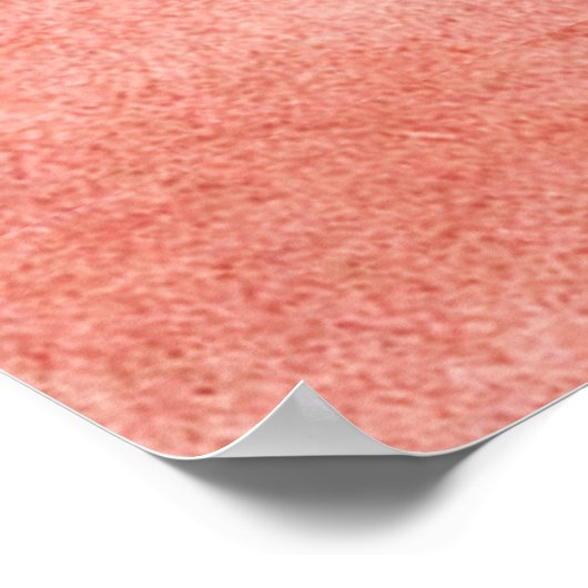 DIE KAP LION LIING DOWN, von Rembrandt Pink Black Poster (Ecke)