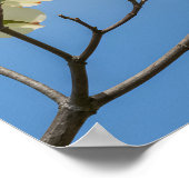 Die Kardinal-Freundschaft: Dogwood Dreamscape Poster (Ecke)