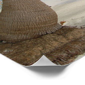 Die karibische Tropeninsel Belize Beach und Palmen Poster (Ecke)