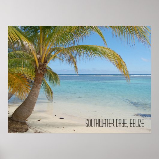 Die karibische Tropeninsel Belize Beach und Palmen Poster (Vorne)