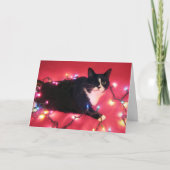 Die Karte der Blüte frohe Feiertage (Vorderseite)