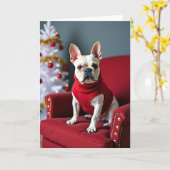 Die Karte zeigt eine cremefarbene Französische Bul (Gelbe Blume)