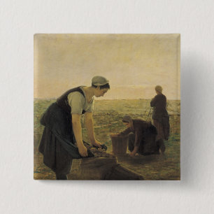 Die Kartoffel-Ernte Button