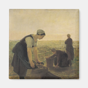 Die Kartoffelernte Magnet