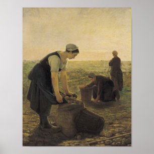 Die Kartoffelernte Poster