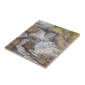 Die Kaskade Fliese (Seite)