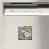 Die Kaskade Magnet (In Situ (Geschirrspüler))
