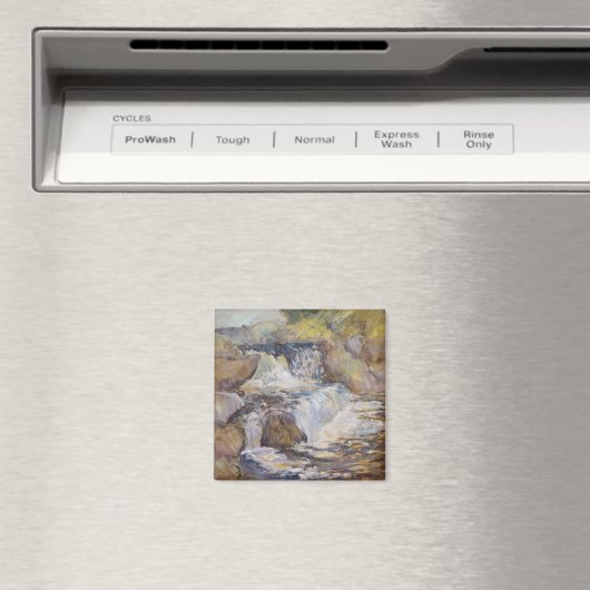 Die Kaskade Magnet (In Situ (Geschirrspüler))