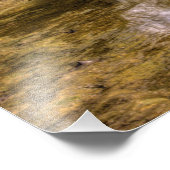 Die Kaskaden im Glen Helen Nature Reserve, Ohio Fotodruck (Ecke)