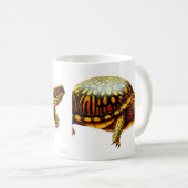 Die Kasten-Schildkröte-Tasse Kaffeetasse (VorderseiteRechts)