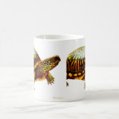 Die Kasten-Schildkröte-Tasse Kaffeetasse (Mittel)