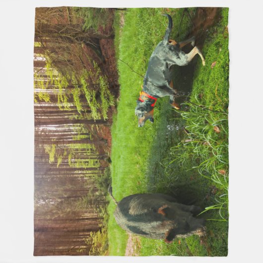 Die Katahoula und das Wildhühnerschwarz Fleecedecke (Vorderseite)