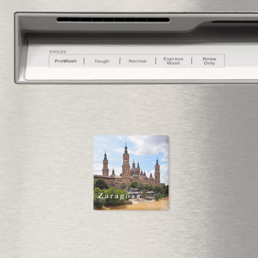 Die Kathedrale der Gottesmutter der Säule und des  Magnet (In Situ (Geschirrspüler))