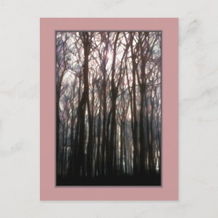 Die Kathedrale des Waldes Inspirierend Fotos Postkarte
