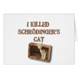 die Katze der schrodingers