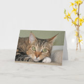 Die Katze, die an Sie denkt, kardieren Karte (Gelbe Blume)