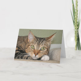 Die Katze, die an Sie denkt, kardieren Karte