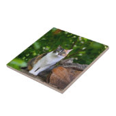 Die Katze Fliese (Seite)