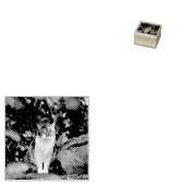 Die Katze Gummistempel (Stempel)
