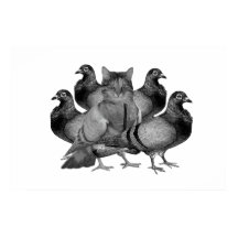 Die Katze im Taubenposter ist individuell einstell