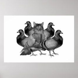 Die Katze im Taubenposter ist individuell einstell Poster