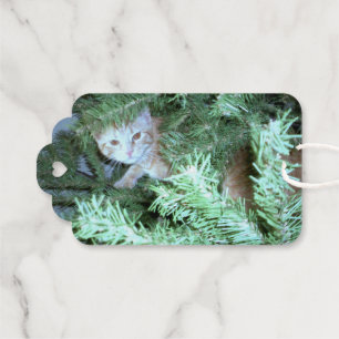 Die Katze in den Geschenktafeln der Weihnachtsbaum Geschenkanhänger