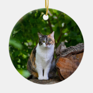 Die Katze Keramik Ornament