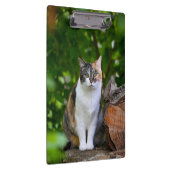 Die Katze Klemmbrett (Rechts)