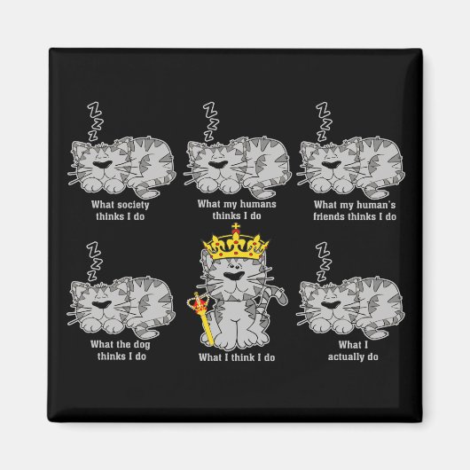 Die Katze Magnet (Vorne)