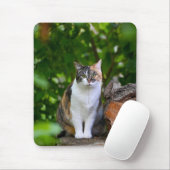 Die Katze Mousepad (Mit Mouse)