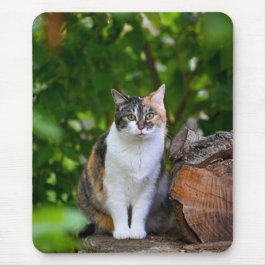 Die Katze Mousepad
