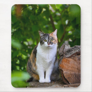 Die Katze Mousepad