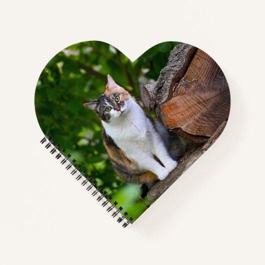 Die Katze Notizblock (Vorderseite)