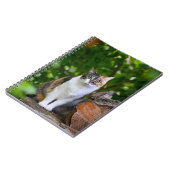 Die Katze Notizblock (Linke Seite)