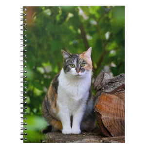 Die Katze    Notizblock