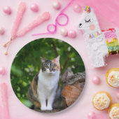 Die Katze Pappteller (Party)