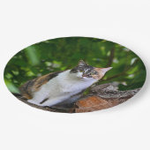 Die Katze Pappteller (Schrägansicht)