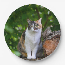 Die Katze Pappteller