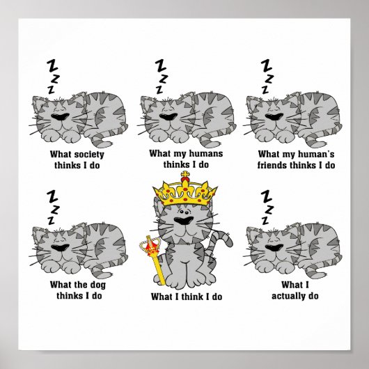 Die Katze Poster (Vorne)