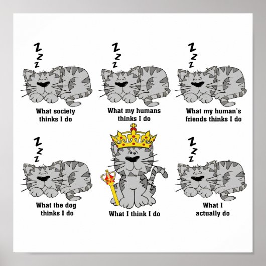 Die Katze Poster (Vorne)