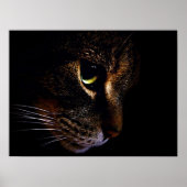 Die Katze Poster (Vorne)