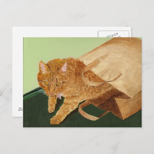 Die Katze Postkarte (Vorne/Hinten)