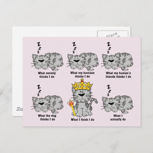 Die Katze Postkarte (Vorne/Hinten)