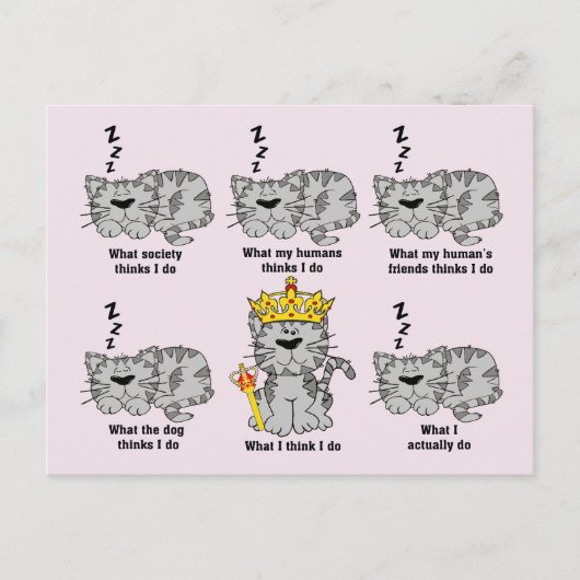 Die Katze Postkarte (Vorderseite)