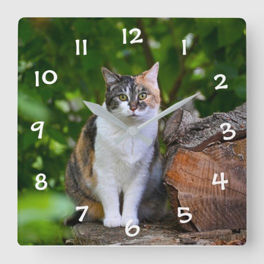 Die Katze Quadratische Wanduhr (Vorderseite)