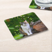 Die Katze Rechteckiger Pappuntersetzer (angewinkelt)