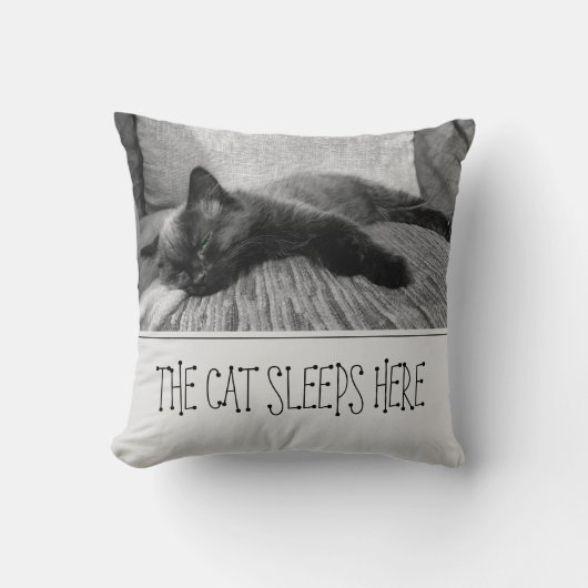 Die Katze schläft hier Kissen (Vorderseite)