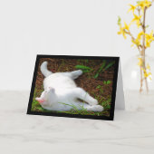 Die Katze und die Fliege Karte (Gelbe Blume)